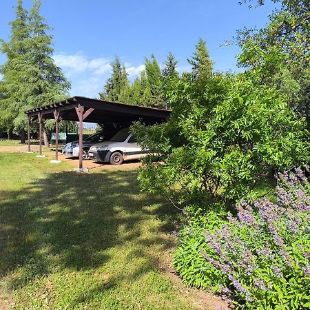 Casas Rurales Tabla Honda El Robledo  Εξωτερικό φωτογραφία