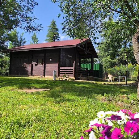 Casas Rurales Tabla Honda El Robledo  Εξωτερικό φωτογραφία