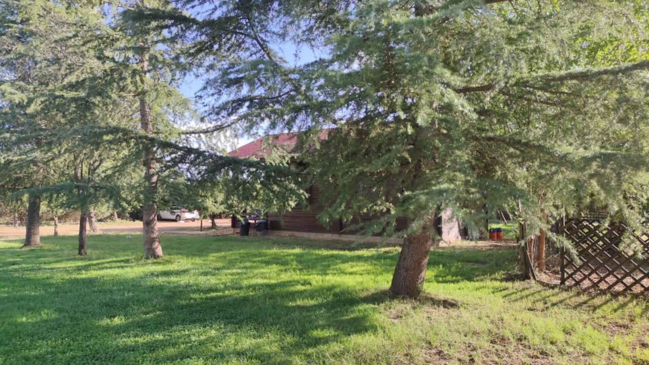 Casas Rurales Tabla Honda El Robledo  Εξωτερικό φωτογραφία