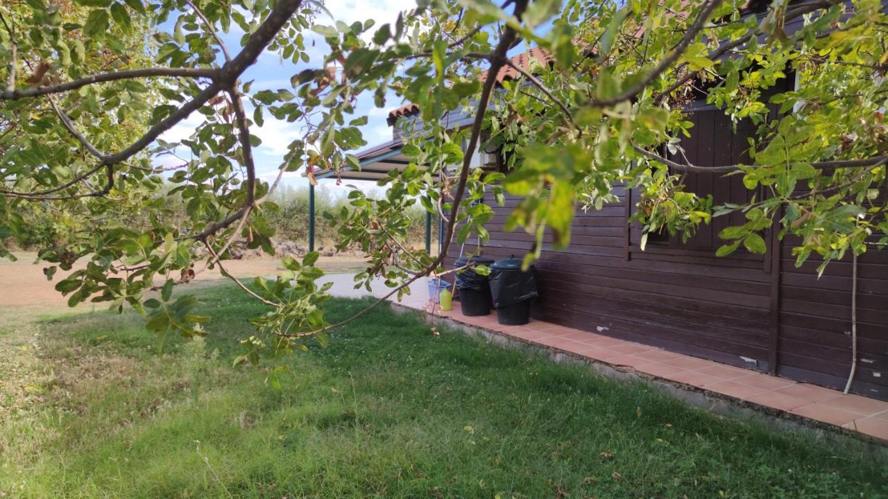 Casas Rurales Tabla Honda El Robledo  Εξωτερικό φωτογραφία