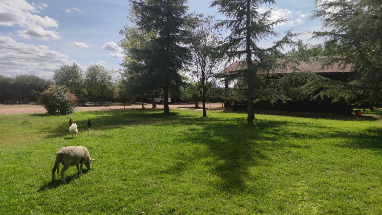 Casas Rurales Tabla Honda El Robledo  Εξωτερικό φωτογραφία